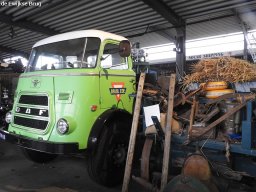 ws 265